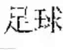 Fig. 25 - System and method for true product word recognition