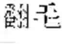 Fig. 95 - System and method for true product word recognition