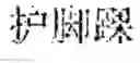 Fig. 97 - System and method for true product word recognition