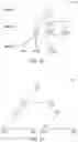 Fig. 12 - Graph functional dependency checking