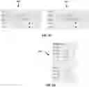 Fig. 08 - Classifier system and method