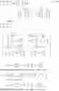 Fig. 166 - Method and apparatus for shape-based energy analysis of solids