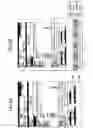 Fig. 03 - Information processing system and slip creation method