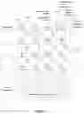 Fig. 12 - Biometric age estimation via ultrasonic imaging