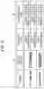 Fig. 10 - Character recognition apparatus, character recognition program, and character recognition method