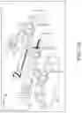 Fig. 11 - SYSTEMS AND METHODS FOR VISUAL INTERACTION WITH BUILDING MANAGEMENT SYSTEMS