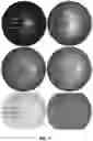 Fig. 09 - Classification of images based on convolution neural networks
