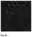 Fig. 13 - Method, apparatus and computer program stored in computer readable medium for state decision of image data