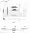 Fig. 10 - Sparse processing in neural network processors