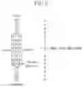 Fig. 08 - ACCELERATING APPRATUS OF NEURAL NETWORK AND OPERATING METHOD THEREOF