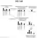 Fig. 17 - System for generating topic inference information of lyrics