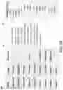 Fig. 12 - ARCHITECTURES FOR NATURAL LANGUAGE PROCESSING