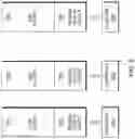 Fig. 08 - Validating training data of classifiers