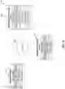 Fig. 15 - Interactive digital receipt