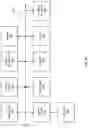 Fig. 13 - Multi-network tokenization processing