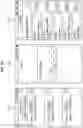 Fig. 16 - Method of messaging service