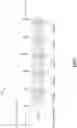 Fig. 08 - High dynamic range processing