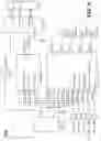 Fig. 10 - High dynamic range processing