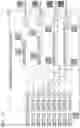 Fig. 13 - Correlation value calculation device