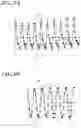 Fig. 09 - Dynamic image analysis apparatus, dynamic image analysis method, and recording medium