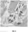 Fig. 06 - Group sparsity model for image unmixing