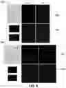 Fig. 10 - Group sparsity model for image unmixing