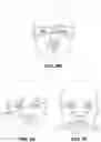 Fig. 15 - System and method of analyzing features of the human face and breasts using one or more overlay grids
