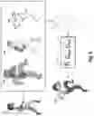 Fig. 08 - Generating target-character-animation sequences based on style-aware puppets patterned after source-character-animation sequences
