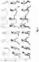 Fig. 09 - Generating target-character-animation sequences based on style-aware puppets patterned after source-character-animation sequences
