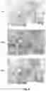 Fig. 09 - Efficient generation of terrain openness