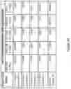 Fig. 34 - Wager Credit Management System And Method Of Use