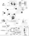 Fig. 05 - Manipulation of media content to overcome user impairments