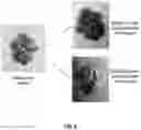 Fig. 06 - Instructional dermatology surface models and methods of use