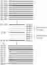 Fig. 01 - Source driver for display apparatus