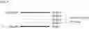 Fig. 06 - Source driver for display apparatus