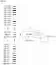Fig. 07 - Source driver for display apparatus