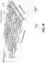 Fig. 24 - Integrated laser arrays based devices