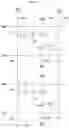 Fig. 03 - Organic light emitting display device
