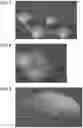 Fig. 06 - DISPLAY CONTROL APPARATUS