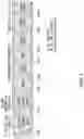 Fig. 03 - SPEECH SYNTHESIS METHOD BASED ON EMOTION INFORMATION AND APPARATUS THEREFOR