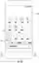 Fig. 13 - Systems and methods for a text-to-speech interface