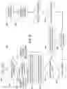 Fig. 10 - Word clustering and categorization