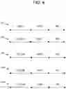 Fig. 09 - Anchored speech detection and speech recognition