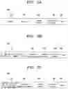 Fig. 04 - Robot apparatus and method for registering shortcut command thereof based on a predetermined time interval