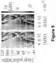 Fig. 06 - Systems, methods, and computer-readable media for improved audio feature discovery using a neural network