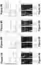 Fig. 07 - Systems, methods, and computer-readable media for improved audio feature discovery using a neural network
