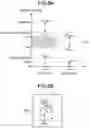 Fig. 07 - Host apparatus and extension device