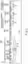Fig. 06 - Semiconductor memory device capable of shortening erase time