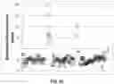 Fig. 53 - Analyzing copy number variation in the detection of cancer