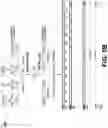Fig. 08 - Re-writable DNA-based digital storage with random access